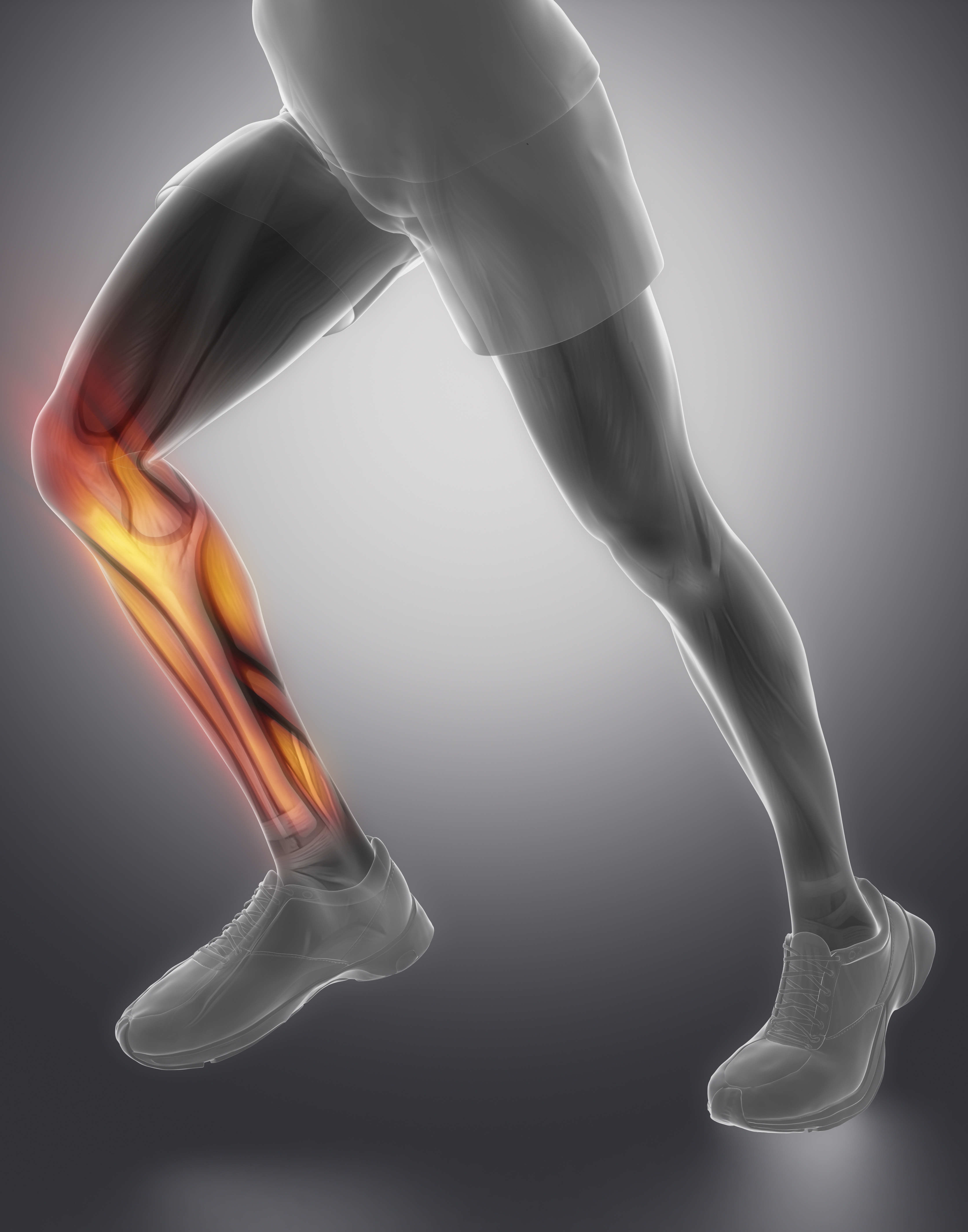 Knee Pain Essential Exercises - motive8 North