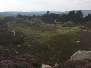 Walking at the cow and calf ilkley