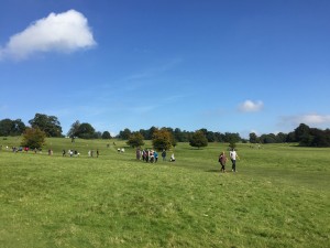 Yorkshire Sculpture Park