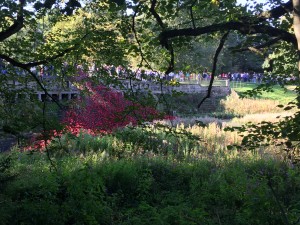 yorkshire sculture park