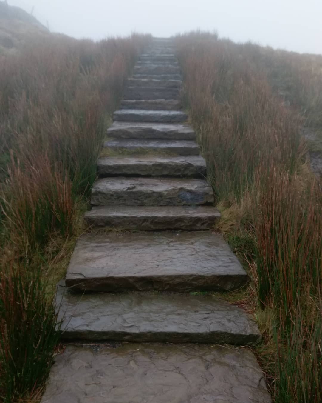 Steps! And lots of them! Not really the best walking conditions, we had to turn back near the top due to gale force winds. Ah well #sundaystroll #walking #3peaks #yorkshire3peaks #penyghent #winds #windy #practicewalk