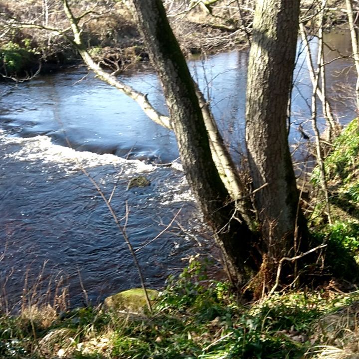 Love a river!! #rivernidd #nidderdale #pateleybridge #walking #walk #sundaystroll #practicewalk