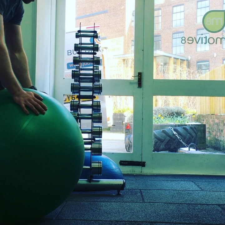 Not sure the entry to this great trunk exercise is correct 🤔 😂 either way great alternative to the rollout. Don’t let you back extend – a tough anti-extension movement. 💪🏻 #trunkstability #exercise #core #work #mondaymotivation #grind #fun