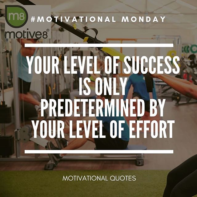 How would you rate your effort levels? Time to go for it!! #success #effort #motive8north #motivation #motivationalquotes #motivationalmonday #goforit #noexcuses #nolimits